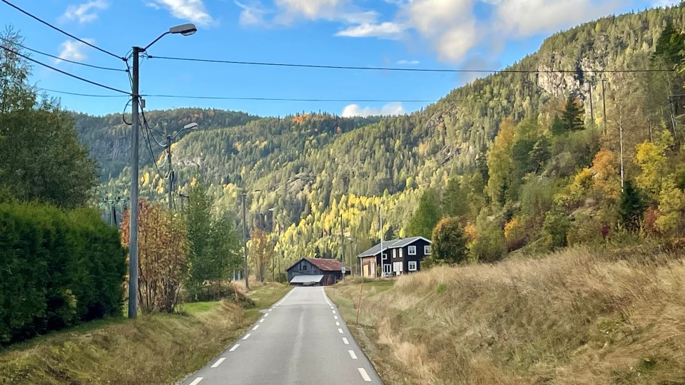 Lenkje til artikkel: Førespurnad om løyve til rydding av tre langs kommunale vegar