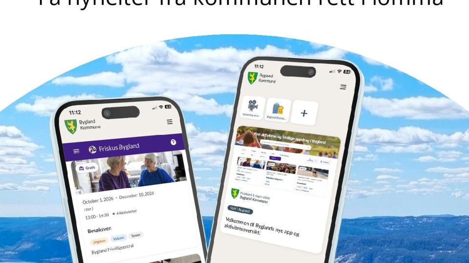 Lenkje til artikkel: Retningslinjer for Friskus aktivitetskalender i Bygland kommune